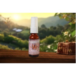 Propolis 20ML
