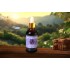 Propolis 20 ML (Sprey)
